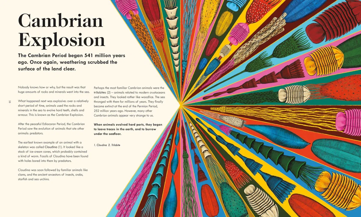 The Wonder of Life on Earth : A beautifully illustrated story of our planet, evolution and you, by the winner of the Royal Society Science Book Prize