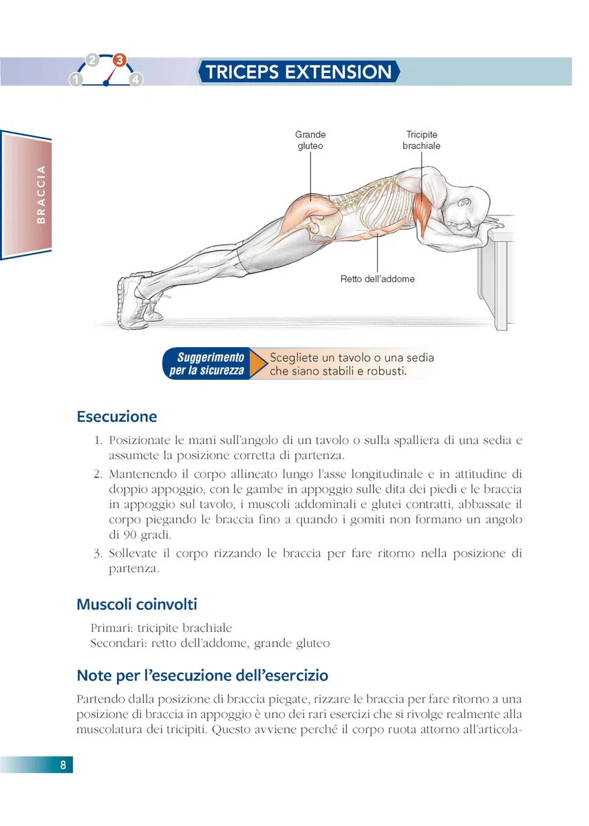 Allenamento a corpo libero. E anatomia umana