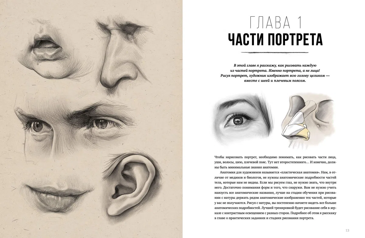 Imparare a Disegnare Ritratti - Come Disegnare dalla A alla Z - Ritratto a Matita: Nozioni di Anatomia Artistica, Luce, Ombreggiatura, Composizione: ... Светотени Драпировка Наброски Композиция