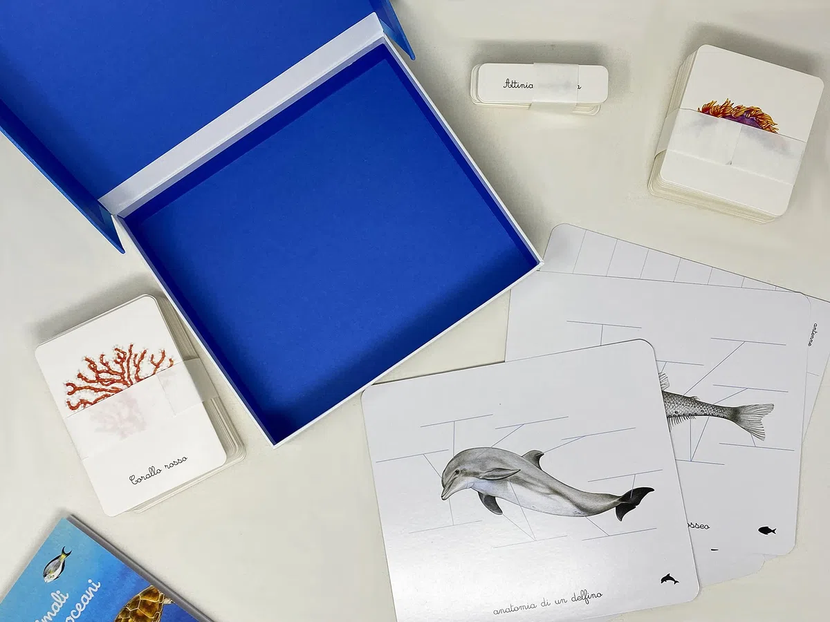 Il mio cofanetto Montessori degli oceani. Ediz. a colori. Con 90 carte degli animali. Con 5 carte degli strati dell’oceano. Con 43 etichette. Con 5 tavole anatomiche