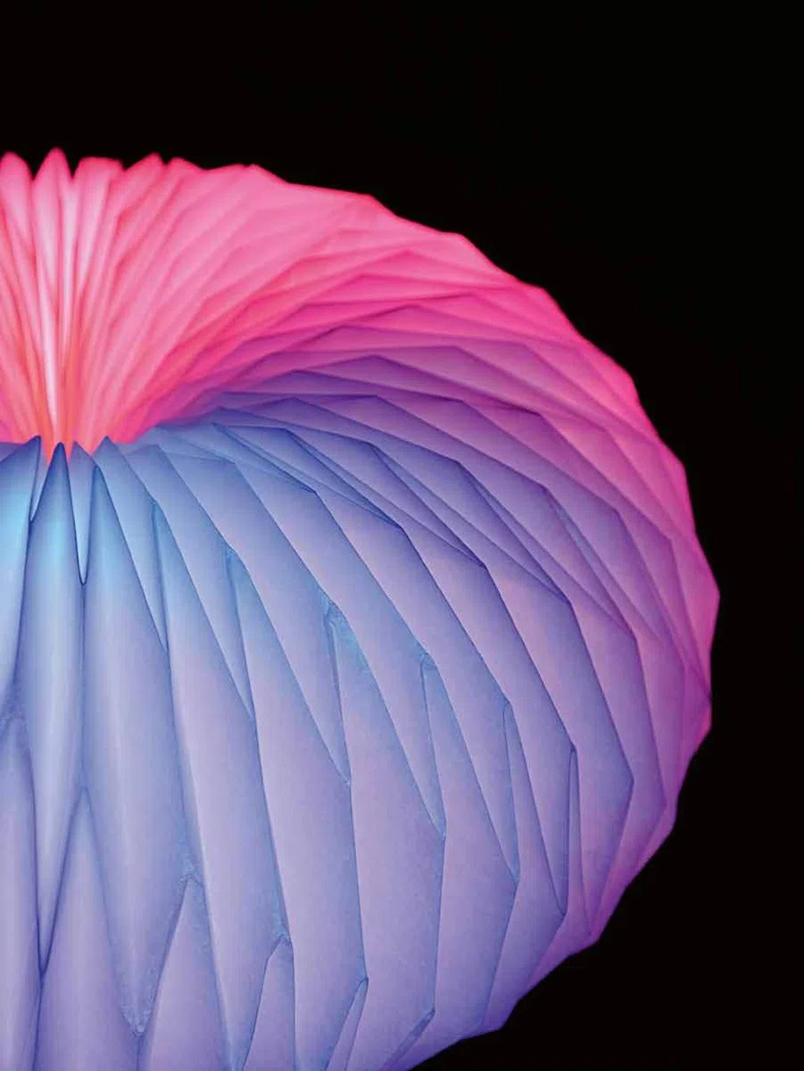 Tomoko Fuse's Origami Art: Works by a Modern Master