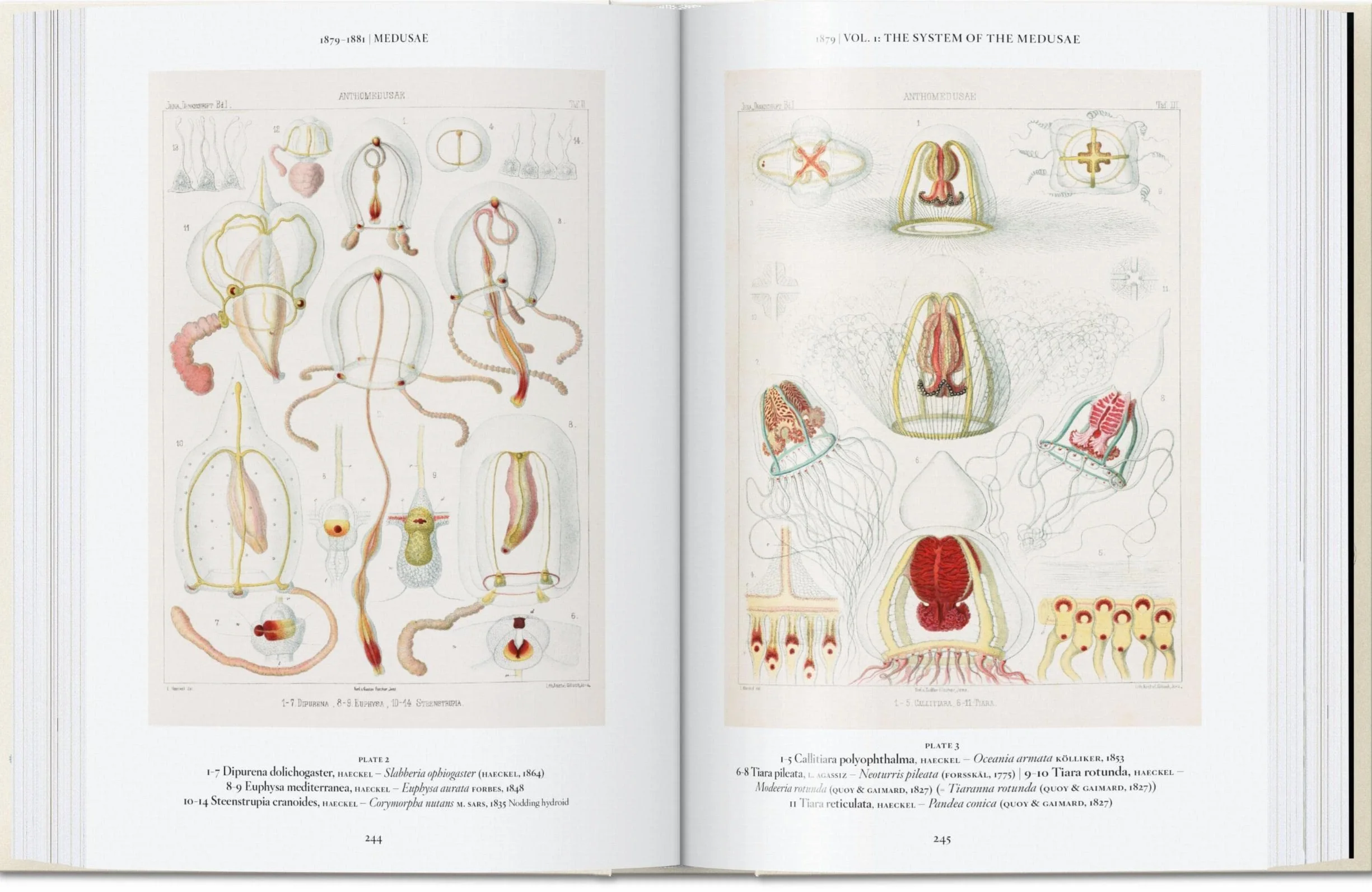The Art and Science of Ernst Haeckel: 45th Ed.