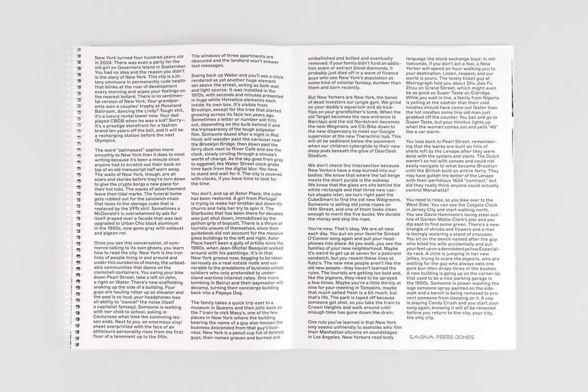 Giovanna Silva: Days without Number. Ediz. a spirale: Days Without Number, New York City