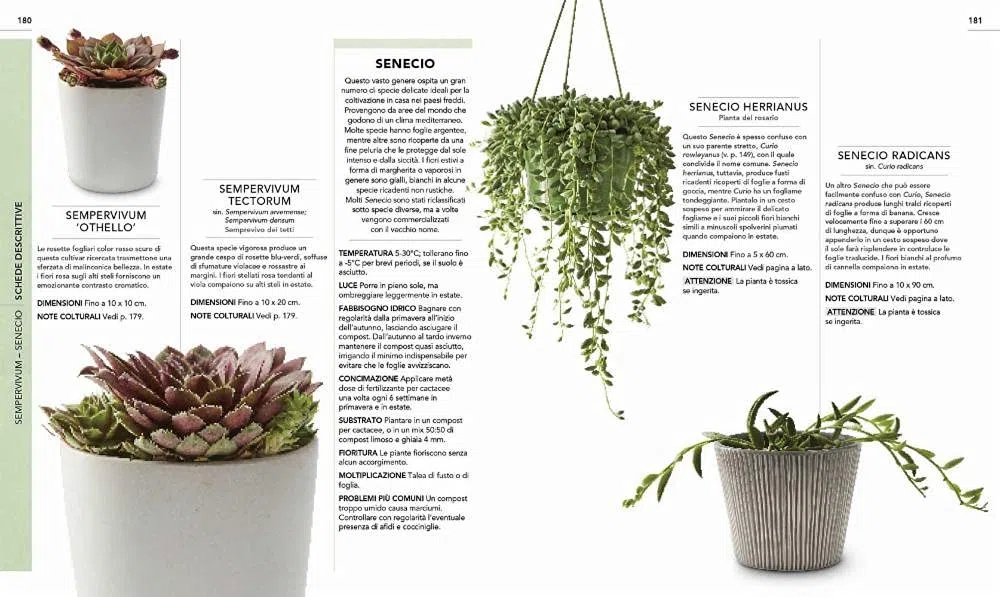 Cactus e succulente. Scelta, coltivazione, disposizione e cura di oltre 200 piante tutte spettacolari