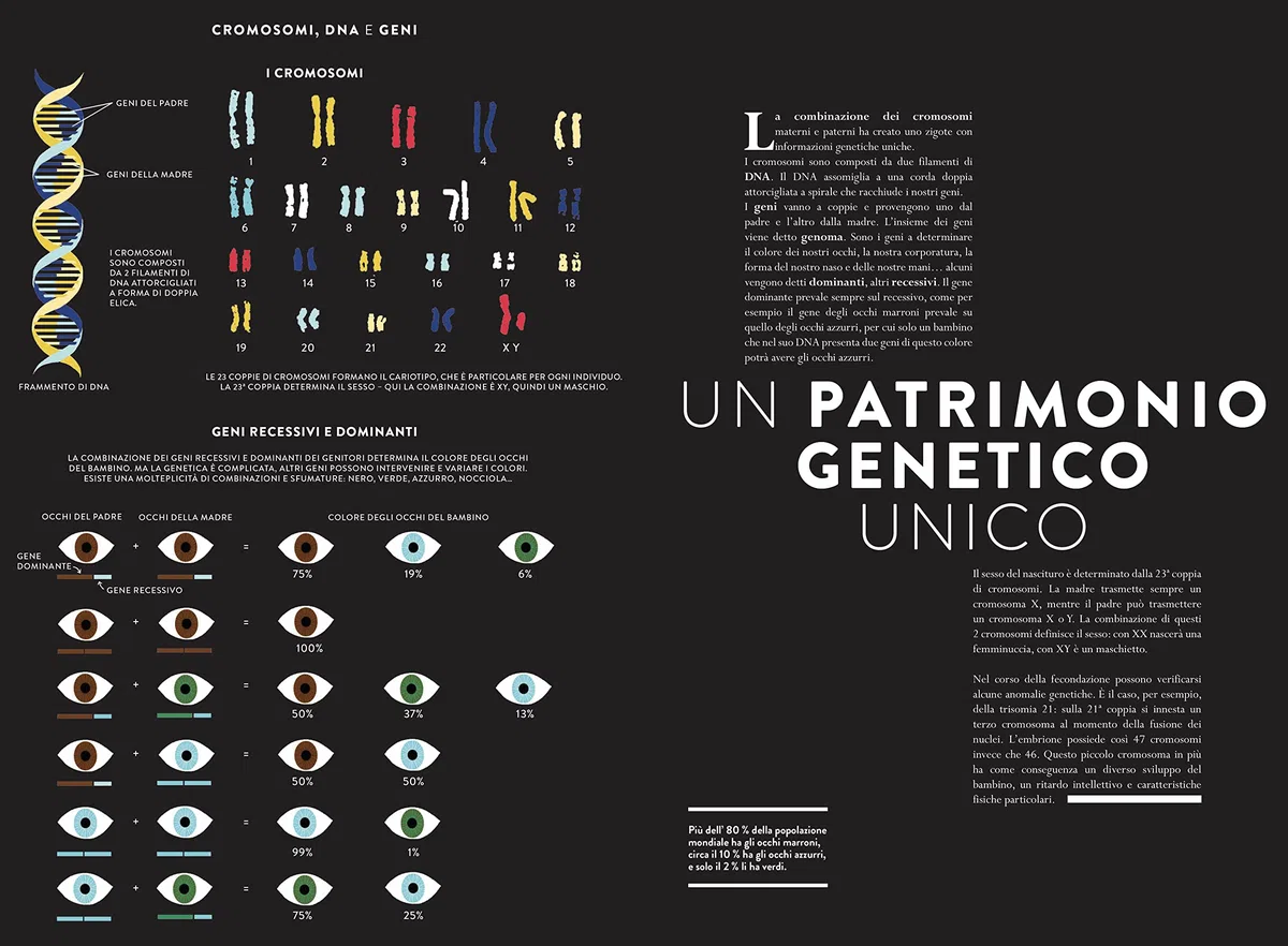 Nascita. Un libro animato per esplorare le origini della vita. Ediz. a colori