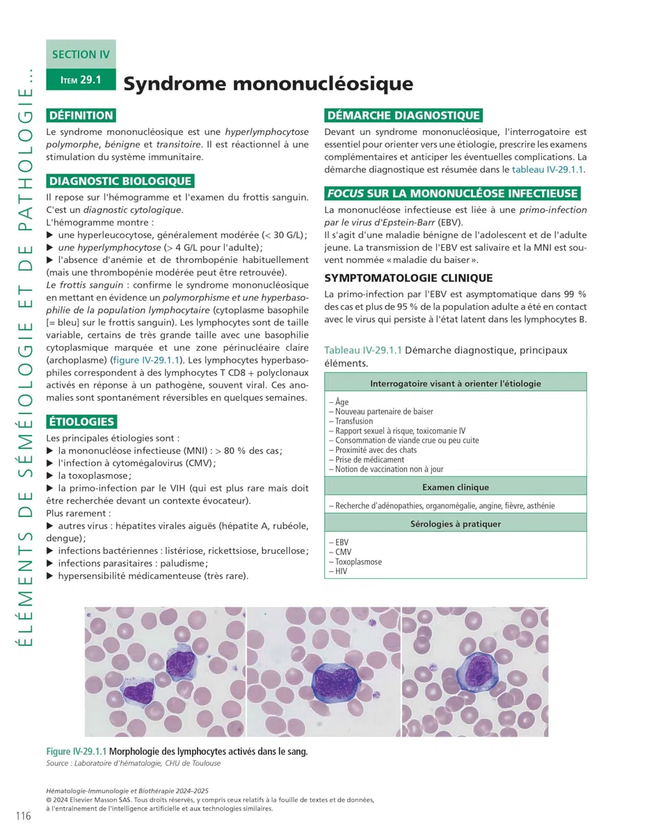 Hématologie-immunologie et biothérapie: L'enseignement en fiches