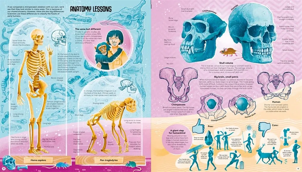 Femina Sapiens