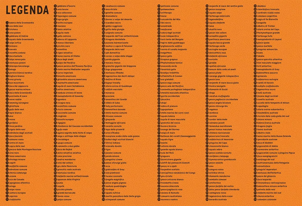 Animali sulle mappe. Il puzzle e il libro di attività. Con puzzle