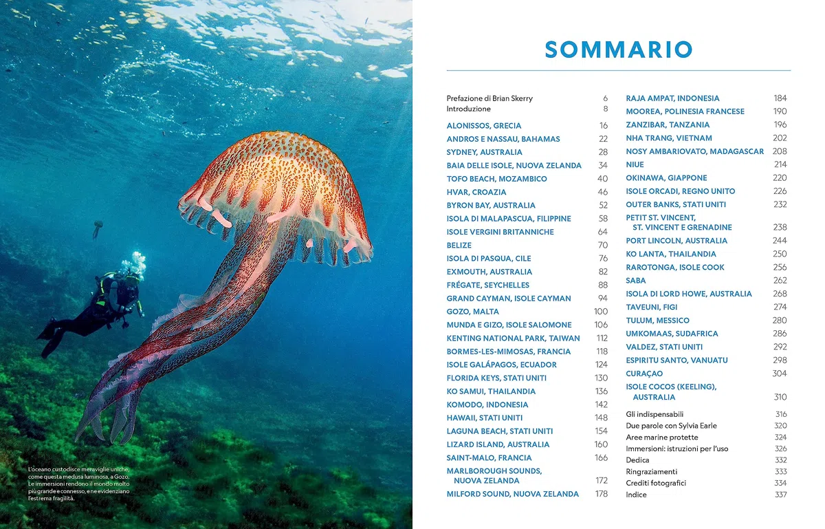 Guida completa per subacquei. Le migliori immersioni del mondo e incredibili esperienze sopra e sotto la superficie del mare. Ediz. a colori
