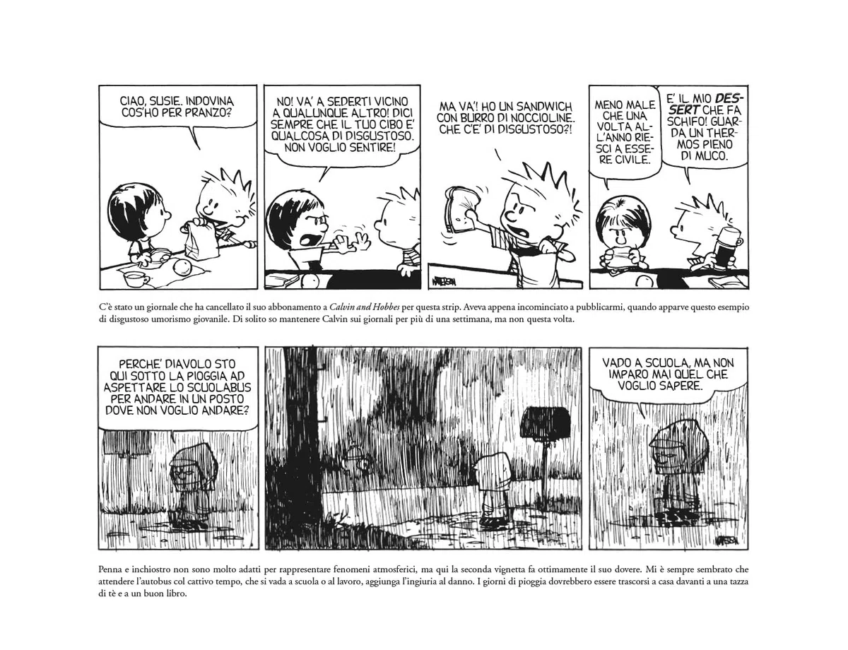 Dieci anni di Calvin and Hobbes