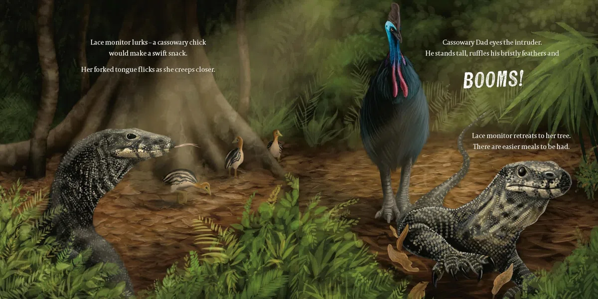 Cassowary Dad