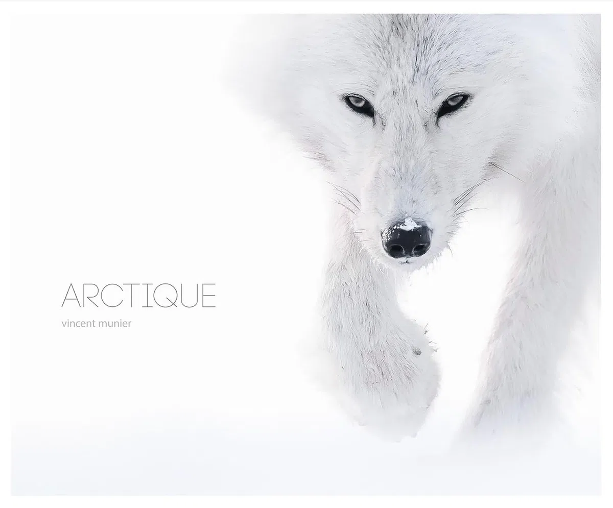 Arctique: 2