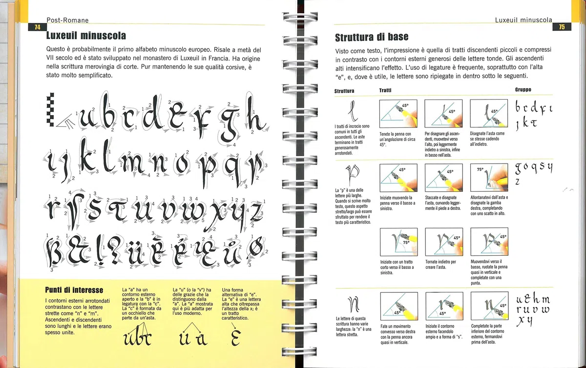 Enciclopedia della calligrafia. 100 alfabeti completi e come realizzarli. Ediz. a spirale