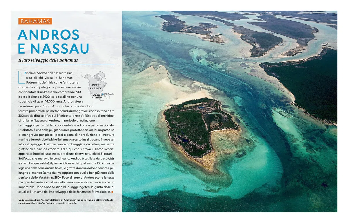 Guida completa per subacquei. Le migliori immersioni del mondo e incredibili esperienze sopra e sotto la superficie del mare. Ediz. a colori