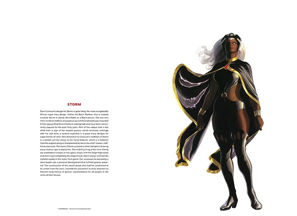he Alex Ross Marvel Comics Poster Book: Featuring 35 removable, frameable prints plus giant poster