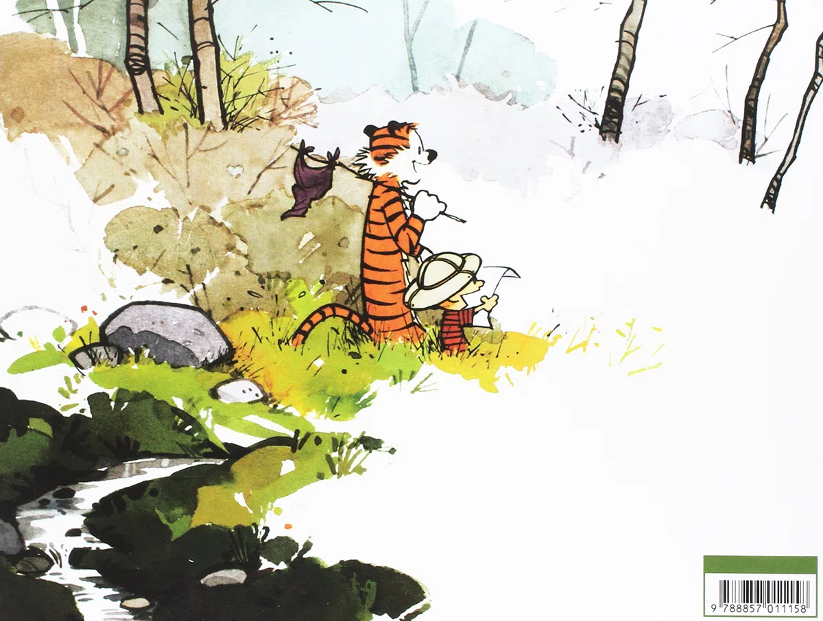 Dieci anni di Calvin and Hobbes