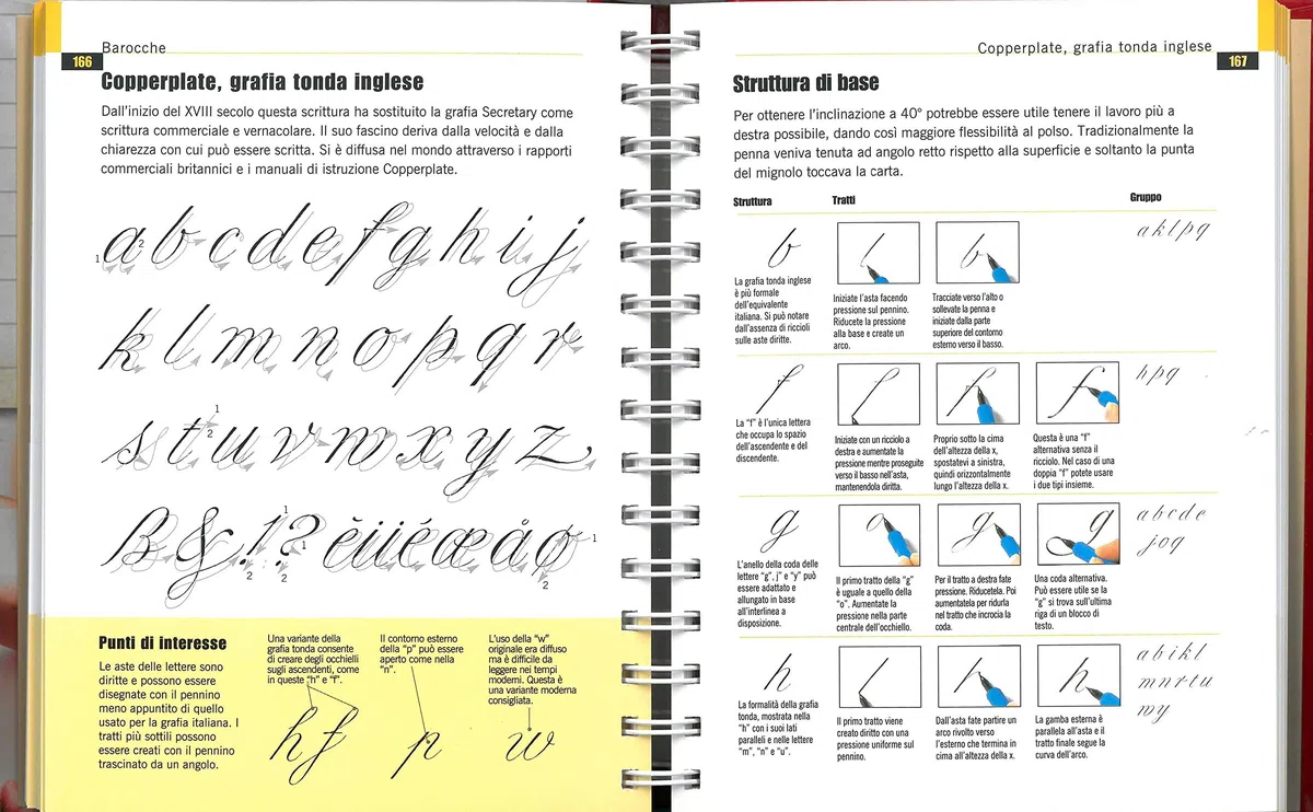 Enciclopedia della calligrafia. 100 alfabeti completi e come realizzarli. Ediz. a spirale