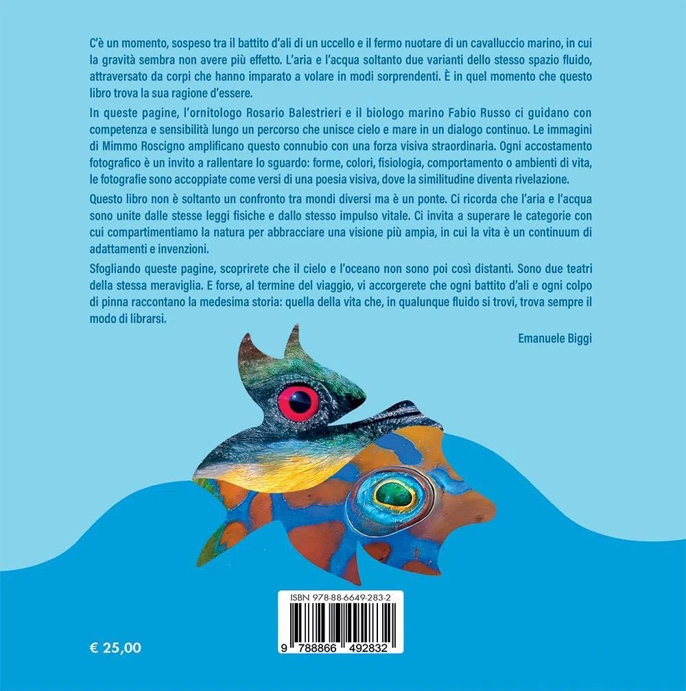 Cielo e acqua