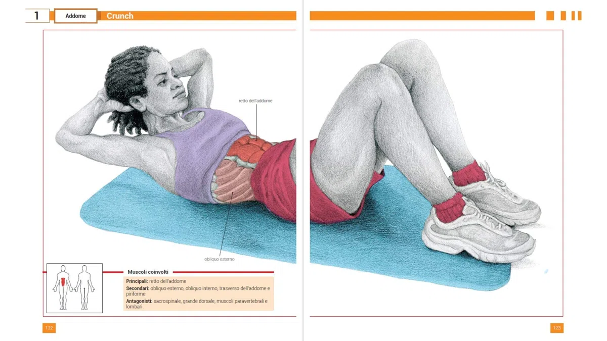 Enciclopedia degli esercizi per gambe, addominali e glutei. Tavole anatomiche, biomeccanica e corretta esecuzione