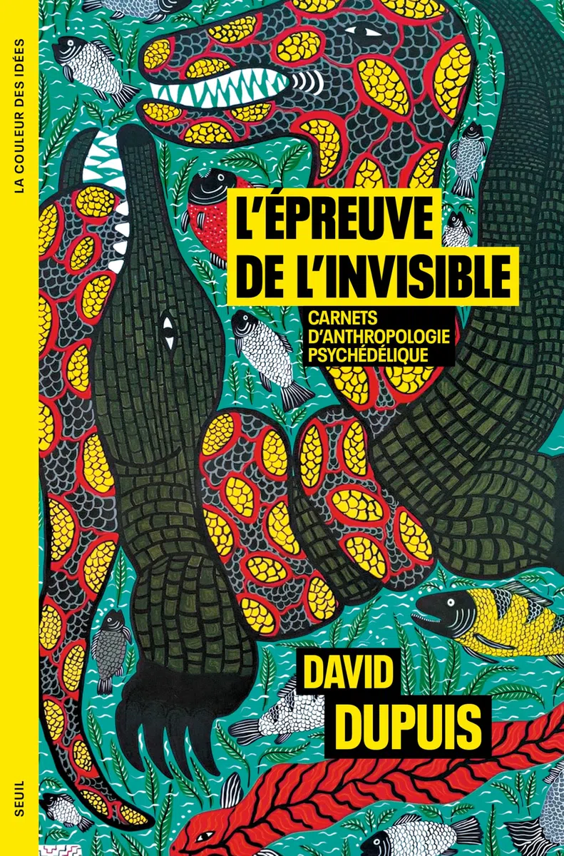 L'épreuve de l'invisible: Carnets d'anthropologie psychédélique
