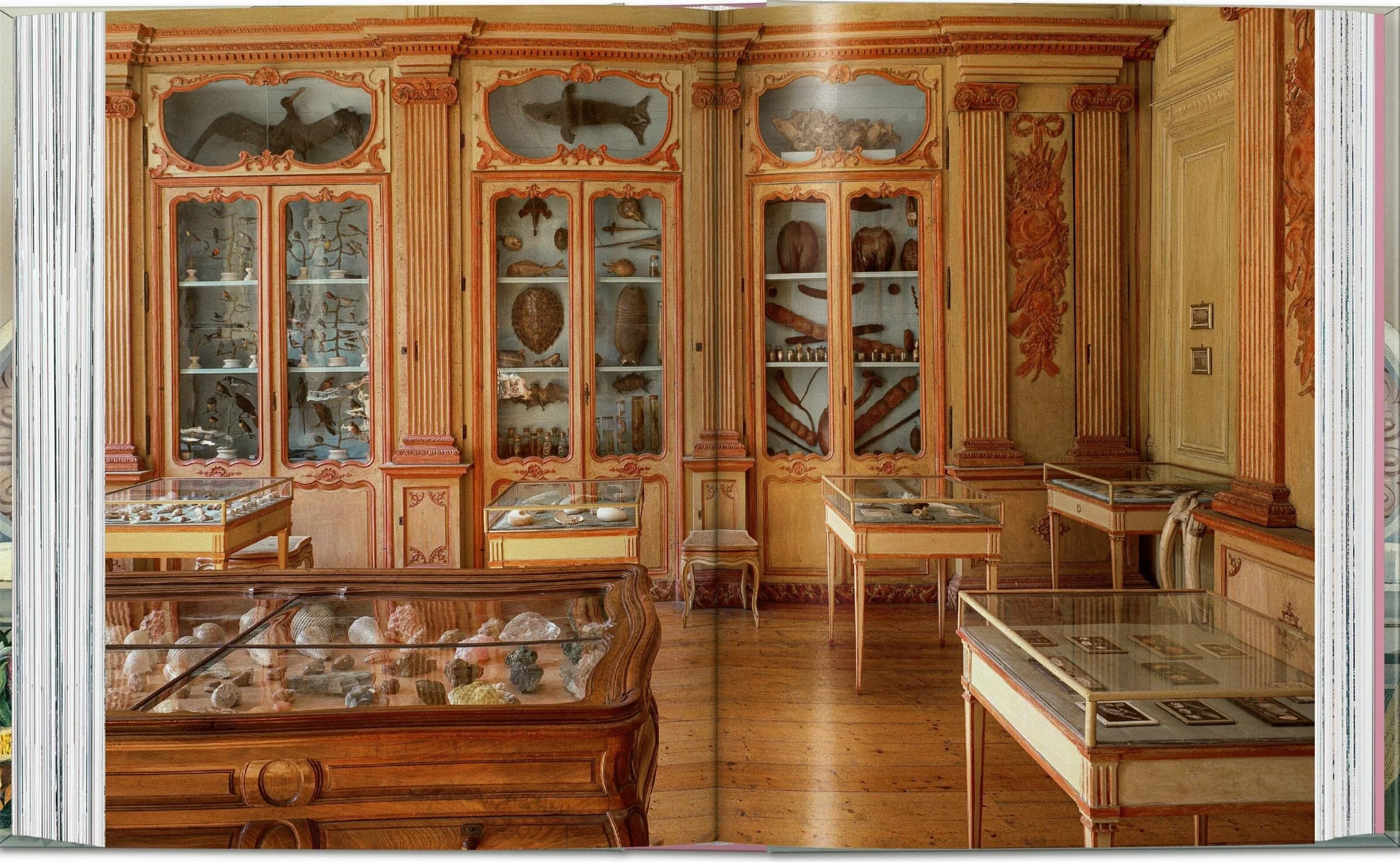 Massimo Listri: Cabinet of Curiosities. 45th Ed.