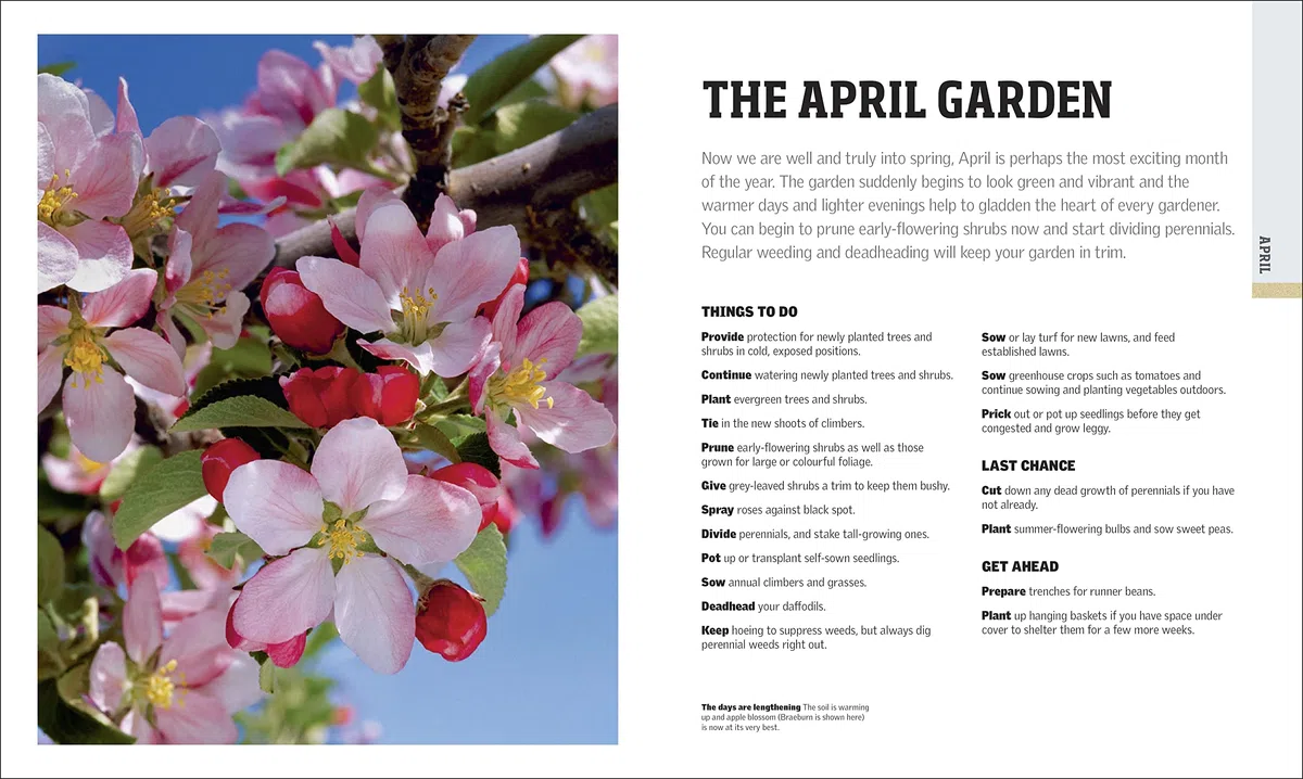 RHS Gardening Through the Year: Month-by-month Planning Instructions and Inspiration