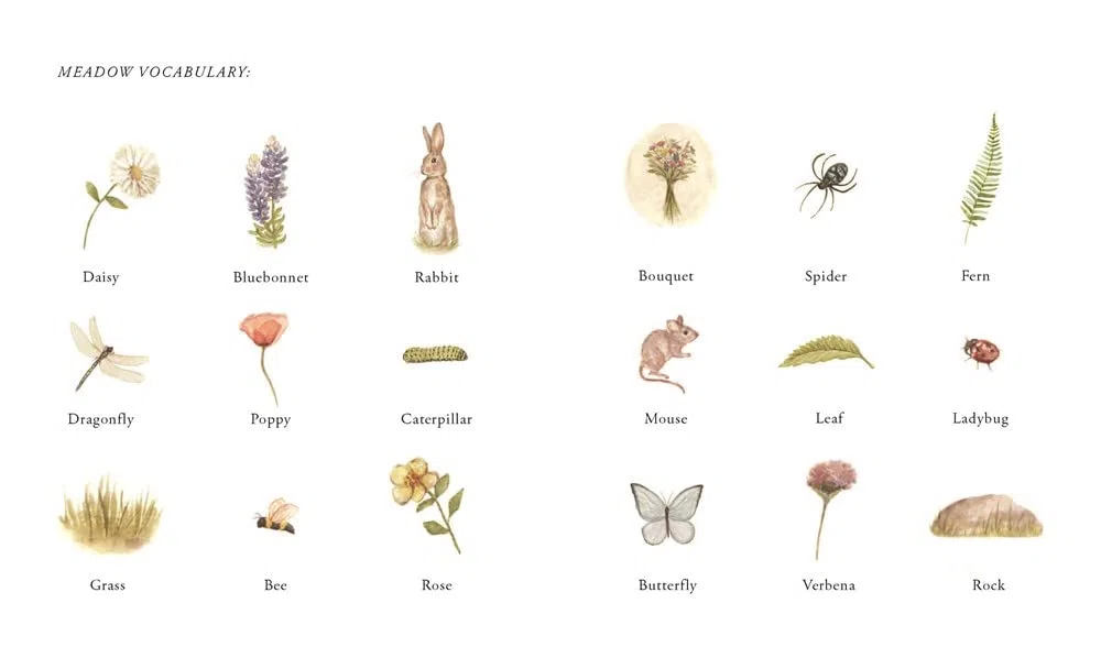 Our Little Adventure Series: Stories Featuring Foundational Language Concepts for Growing Minds: 1