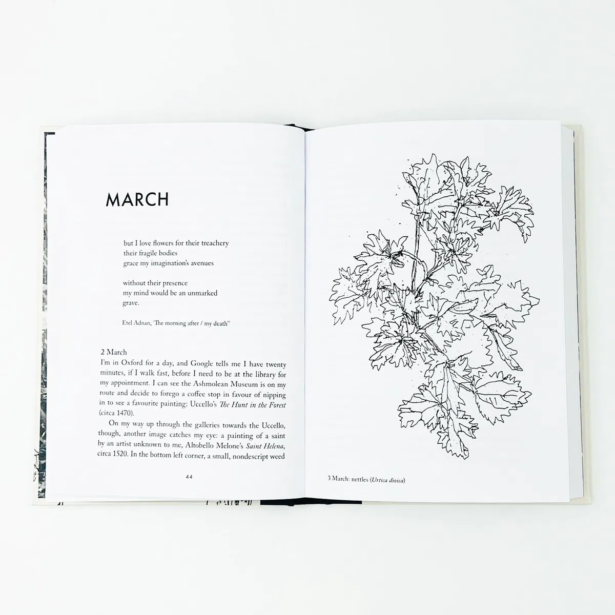 Understorey: A Year Among Weeds