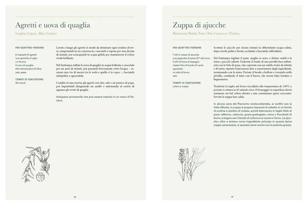 Atlante gastronomico delle erbe. 170 piante. 60 ricette. Ediz. a colori