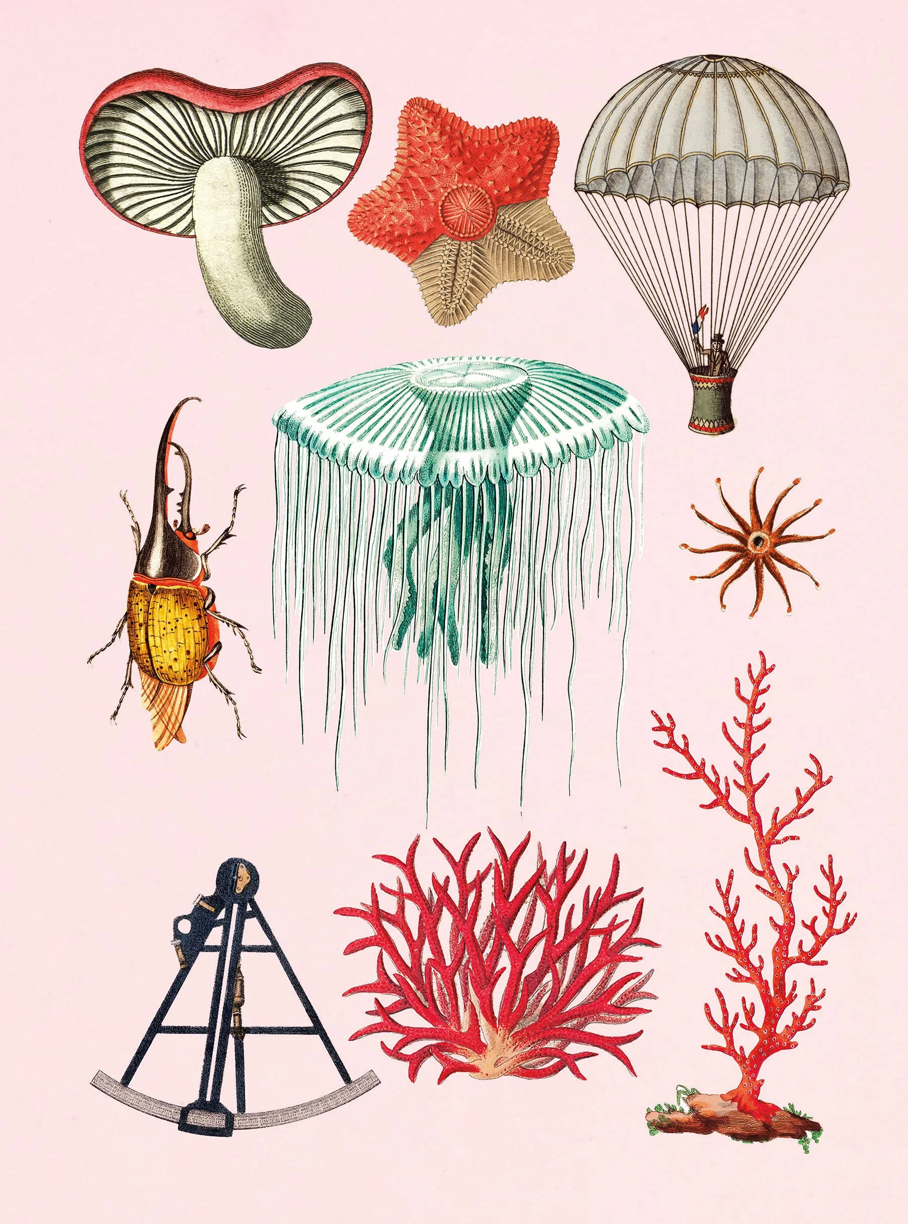 The Antiquarian Sticker Book : An Illustrated Compendium of Adhesive Ephemera