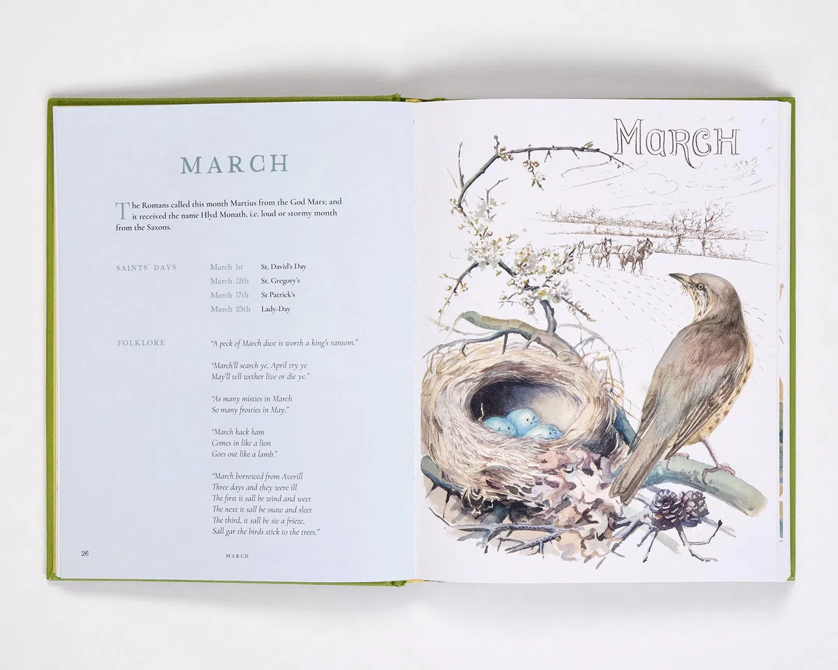 Nature Notes of an Edwardian Lady: A Seasonal Guide from the Edwardian Lady