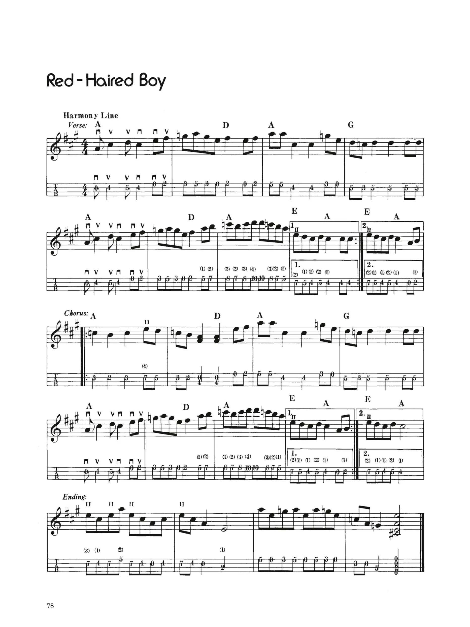 Bluegrass Mandolin