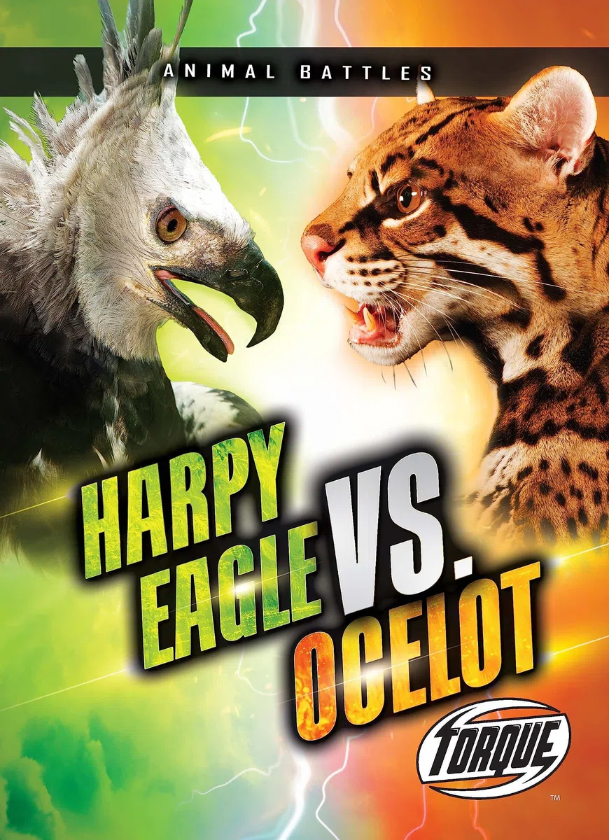 Harpy Eagle Vs. Ocelot