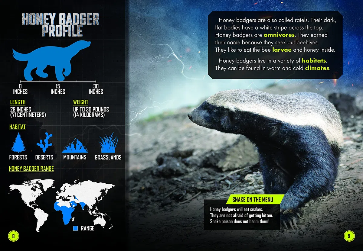 Wolverine Vs. Honey Badger