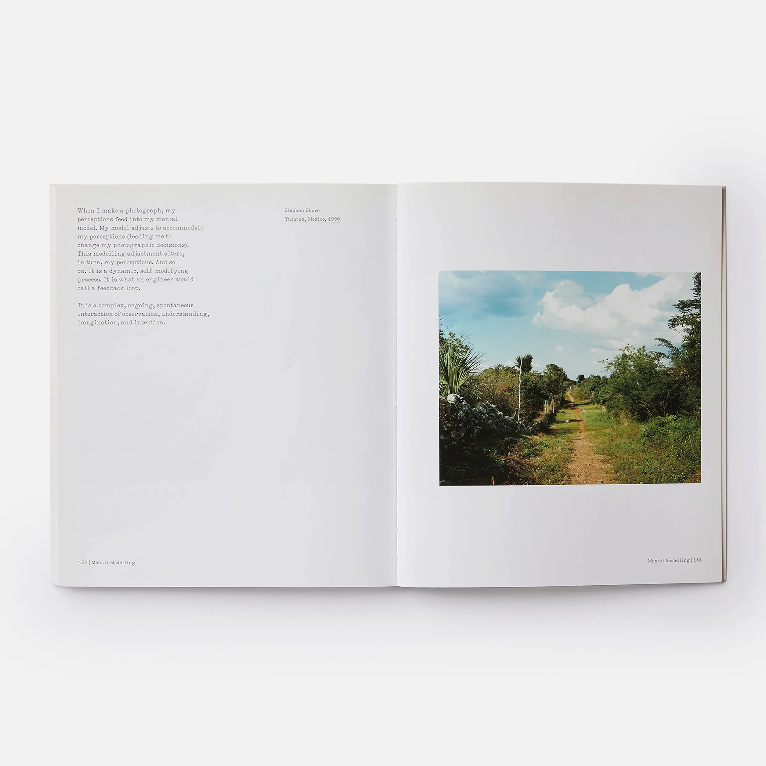 The Nature of Photographs: A Primer [Lingua inglese]