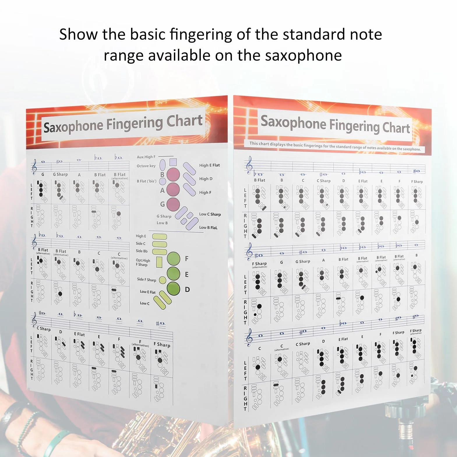 Sassofono Diteggiatura Poster Poster Sax Alto Tenore Soprano Note Principiante Libro per Principianti Dito Chiave per,Wind & Woodwinds Sassofono Fingering Chart Guida di Base