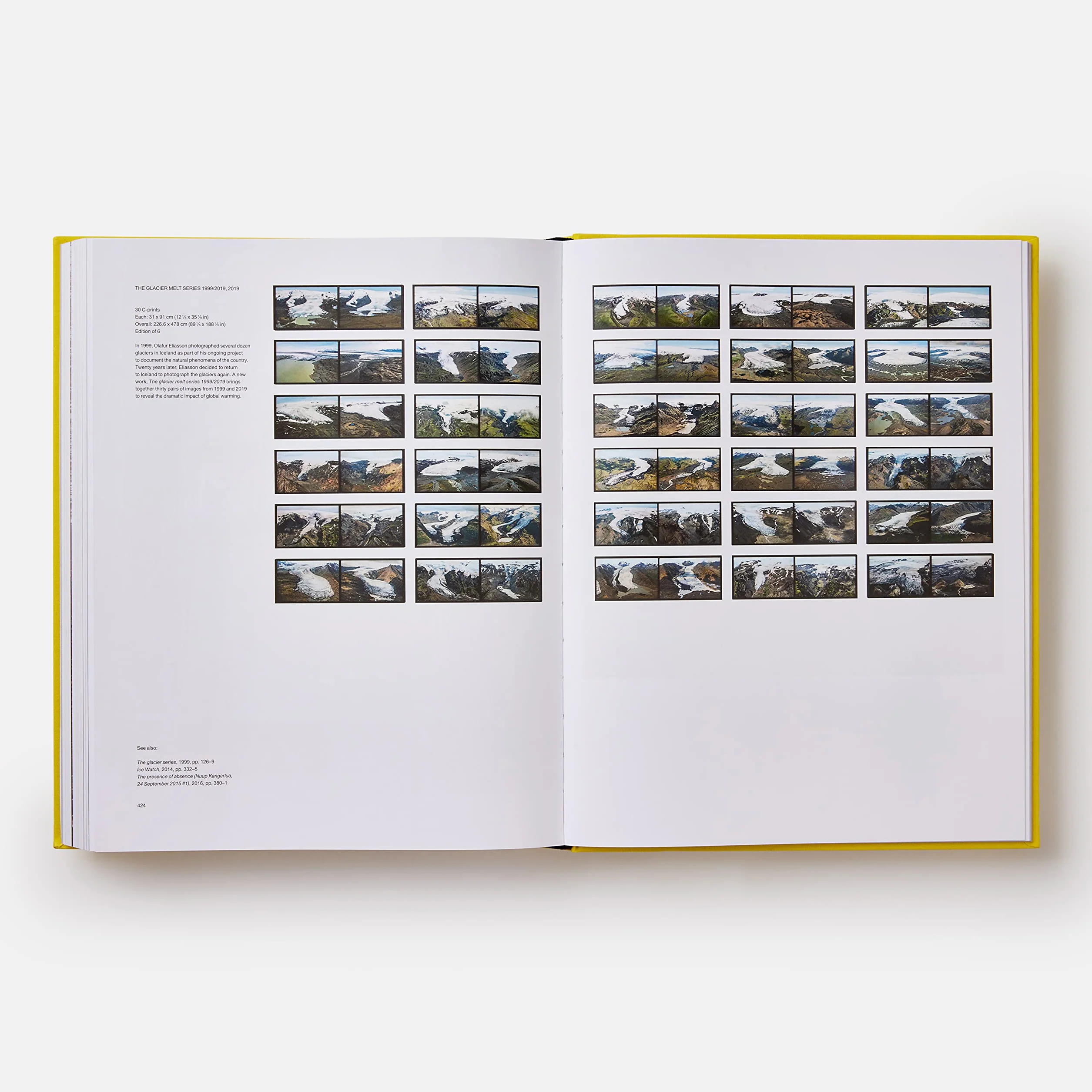 Olafur Eliasson. Experience