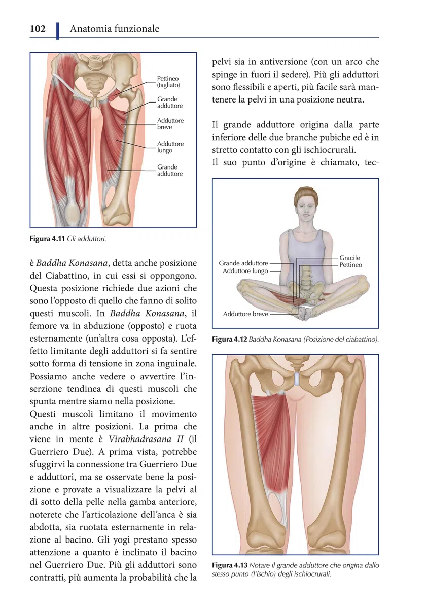 Anatomia funzionale dello yoga. Una guida per praticanti e insegnanti