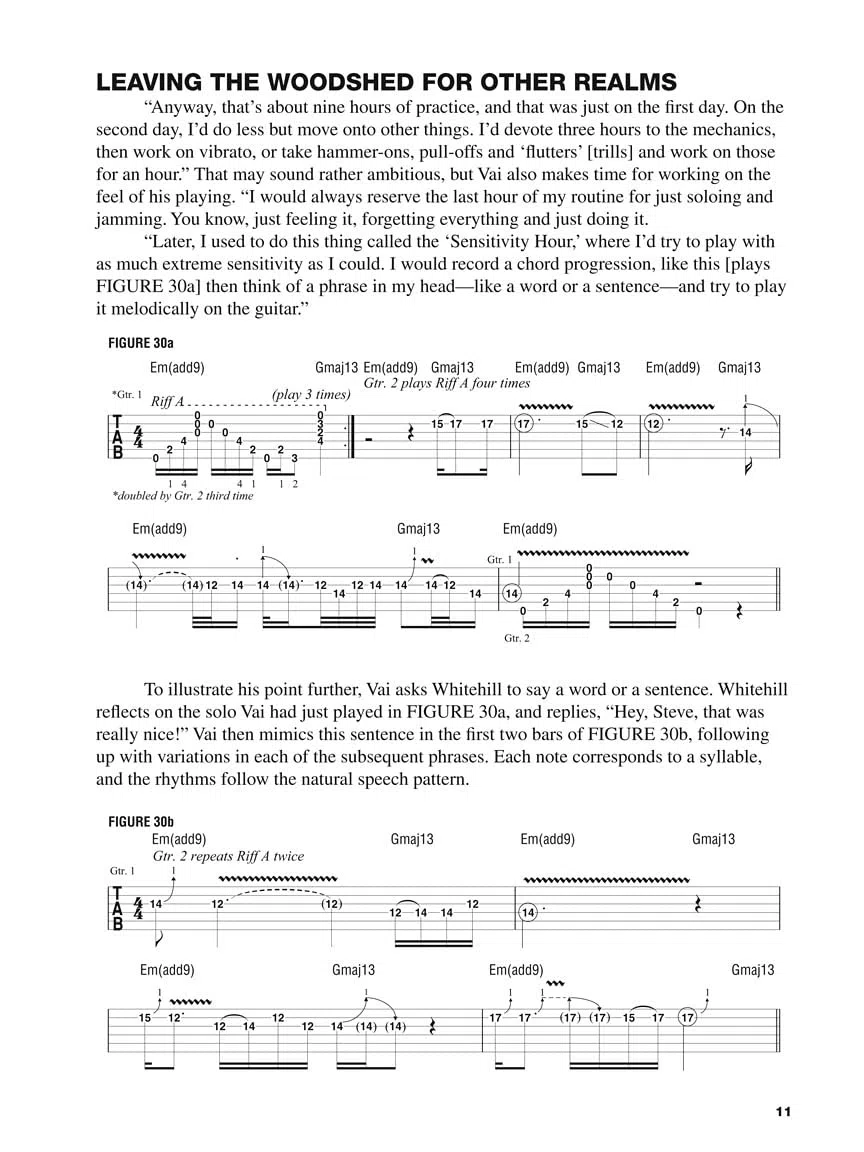 Guitar World Presents: Steve Vai's Guitar Workout: Steve Vai's Guitar Workout [Lingua inglese]