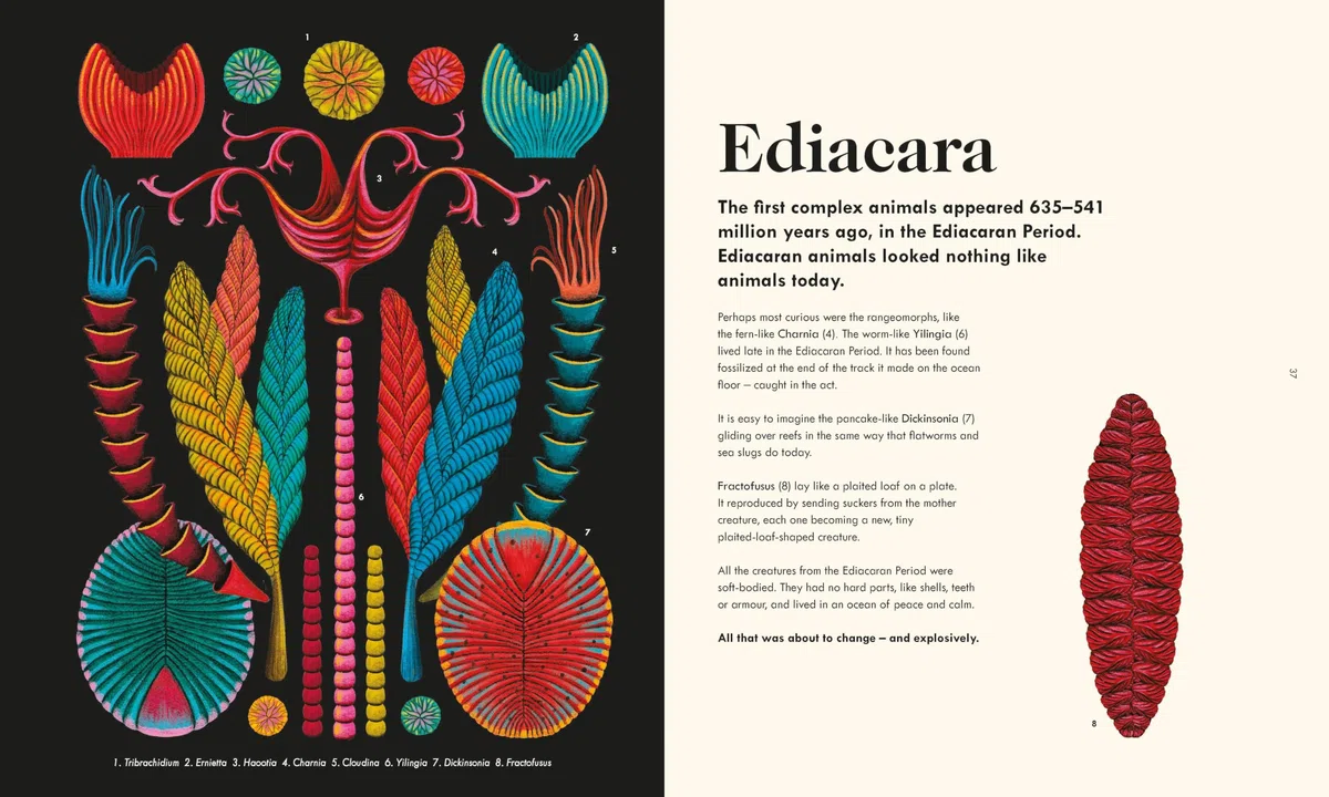The Wonder of Life on Earth : A beautifully illustrated story of our planet, evolution and you, by the winner of the Royal Society Science Book Prize