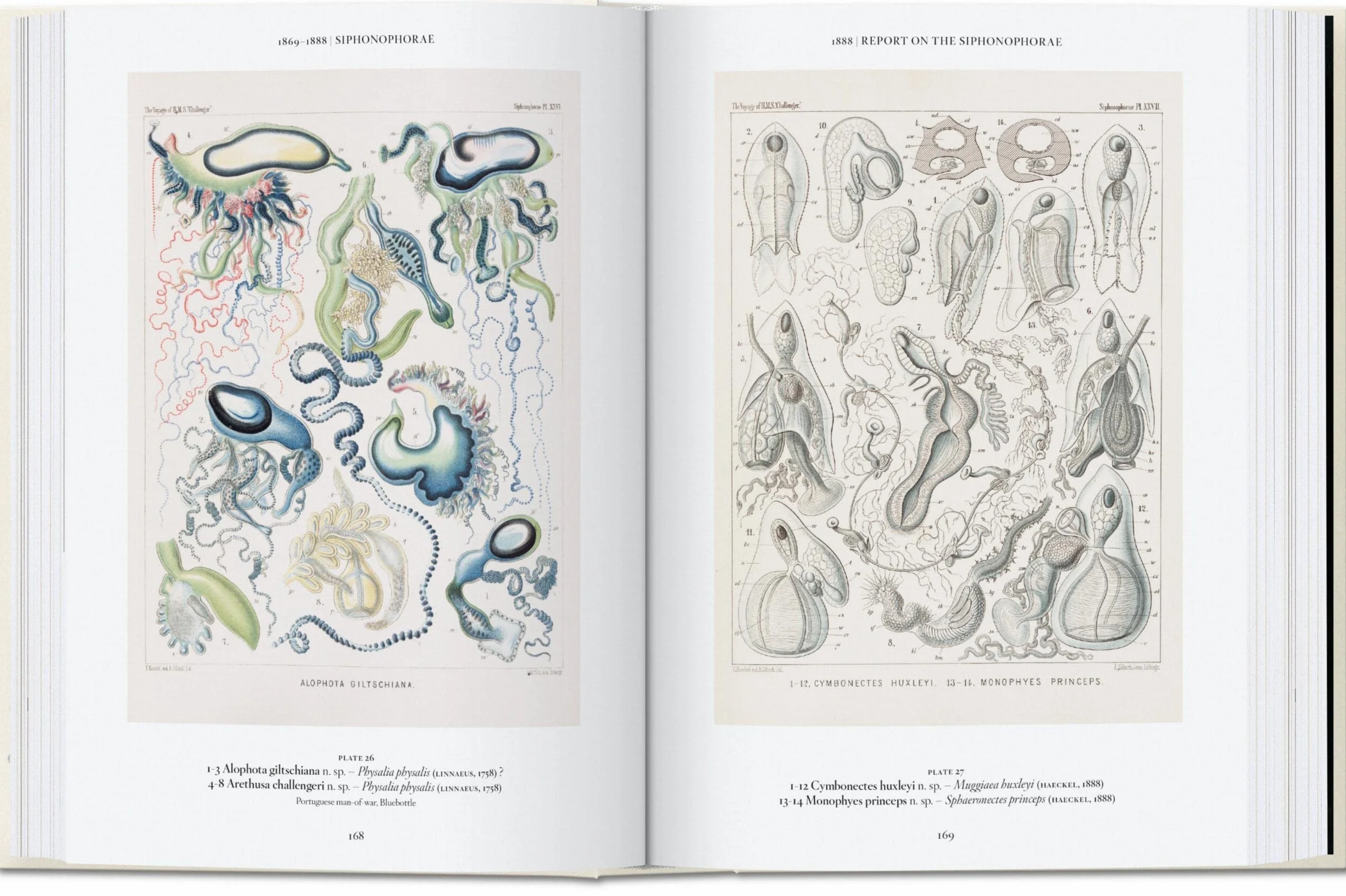 The Art and Science of Ernst Haeckel: 45th Ed.