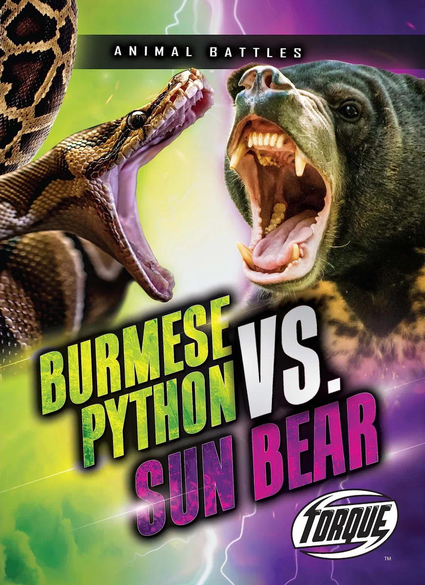 Burmese Python Vs. Sun Bear