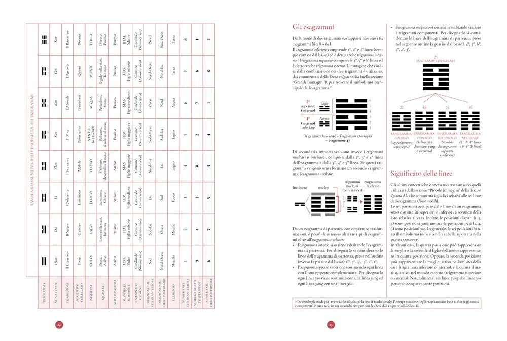 I Ching. Il libro dei mutamenti