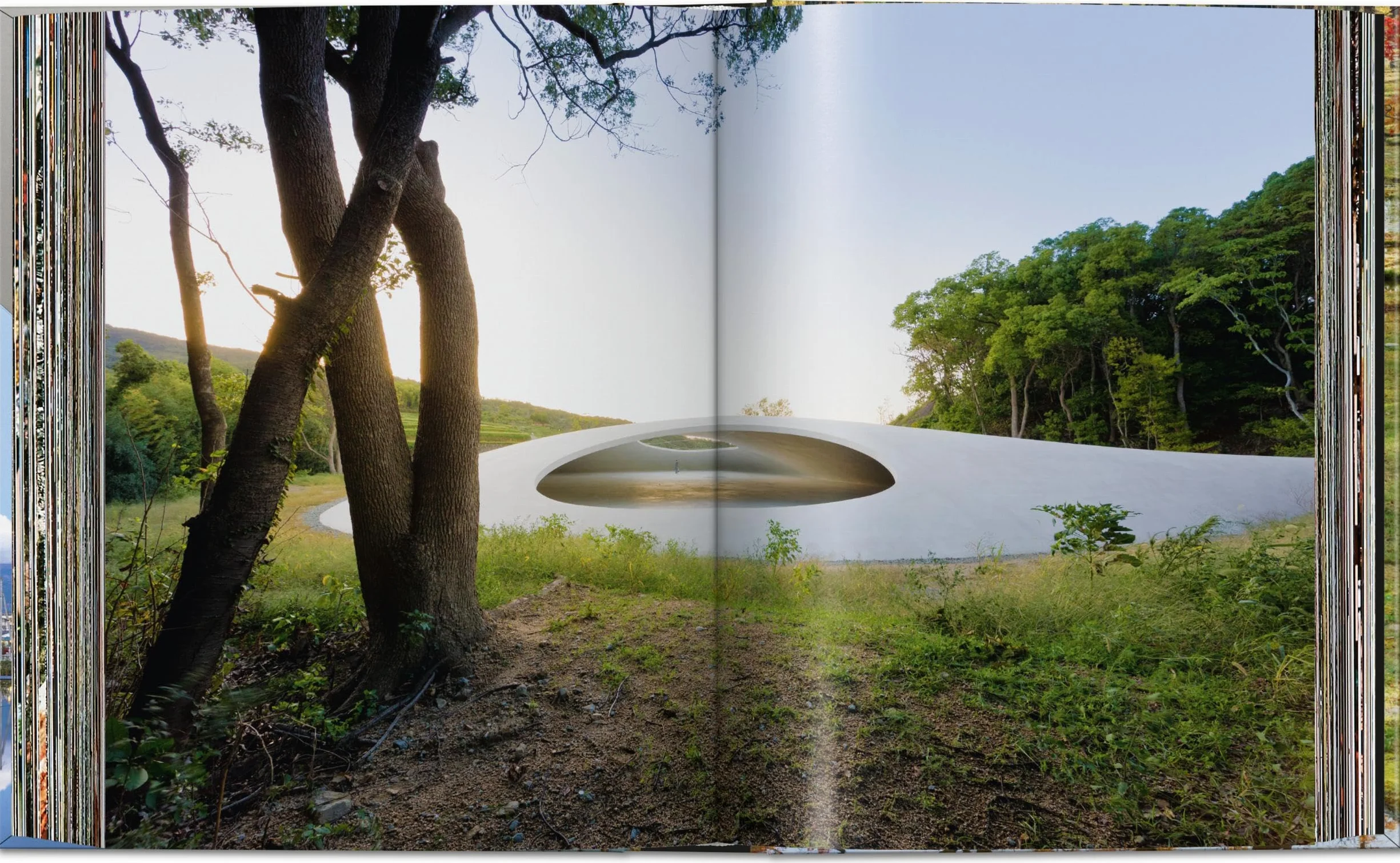 Contemporary Japanese Architecture: 45th Ed.