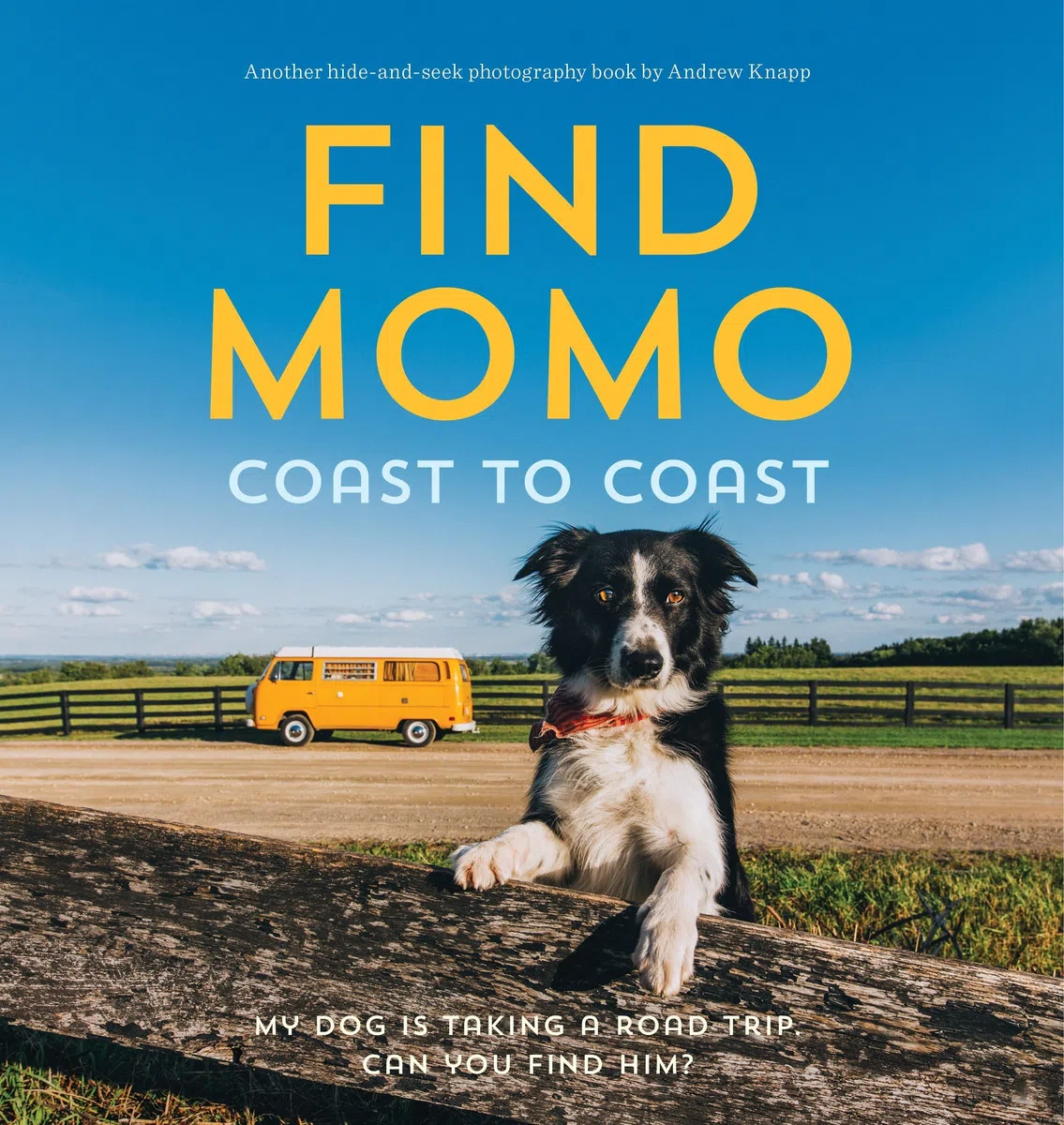 Find Momo Coast to Coast: My Dog Is Taking A Road Trip. Can You Find Him? [Lingua Inglese]