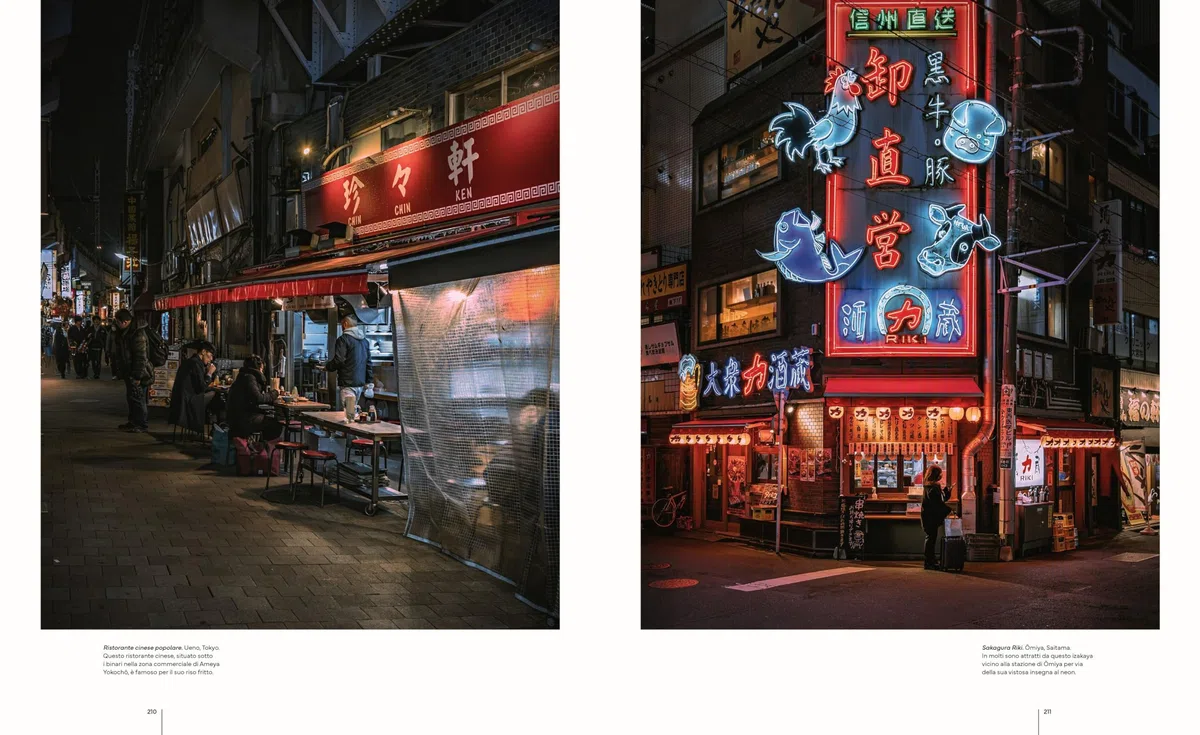 Street Level Japan. Sospesi nei brulicanti vicoli urbani del Giappone