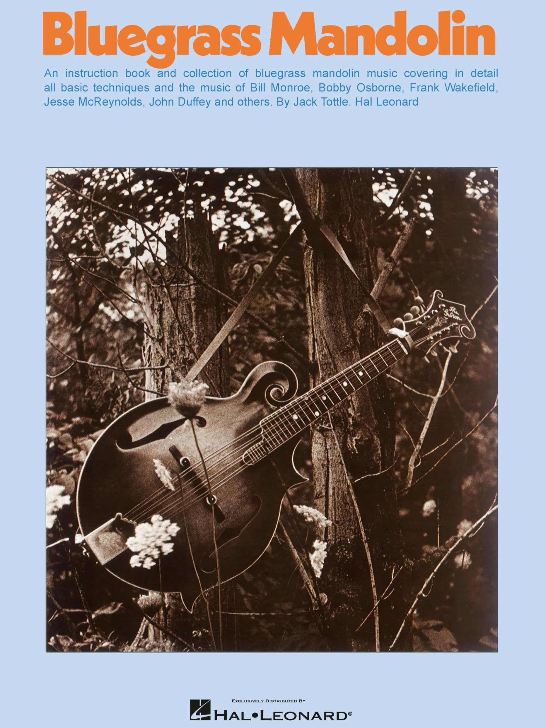 Bluegrass Mandolin
