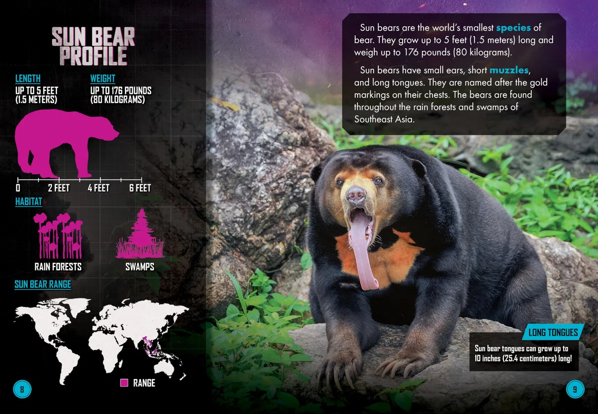 Burmese Python Vs. Sun Bear