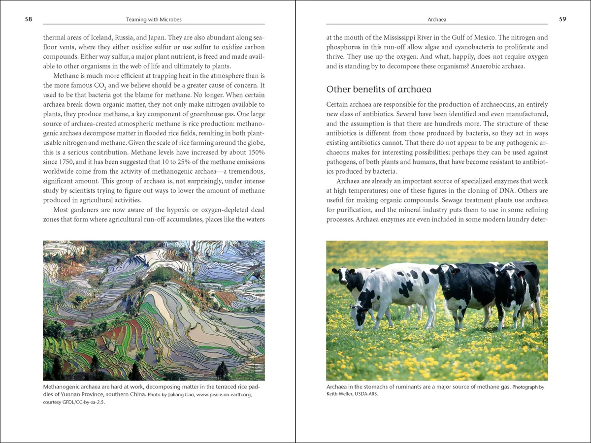 Teaming with Microbes: The Organic Gardener's Guide to the Soil Food Web