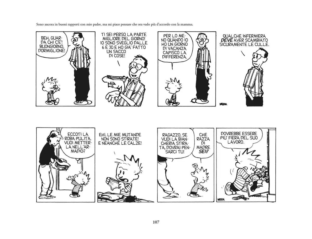 Dieci anni di Calvin and Hobbes
